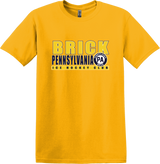 PA Brick Softstyle T-Shirt