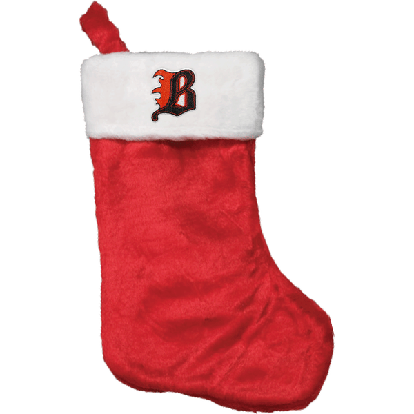 Philadelphia Blazers Plush Christmas Stocking