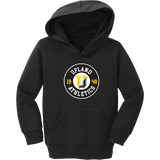 Upland Athletics Toddler Core Fleece Pullover Hooded Sweatshirt