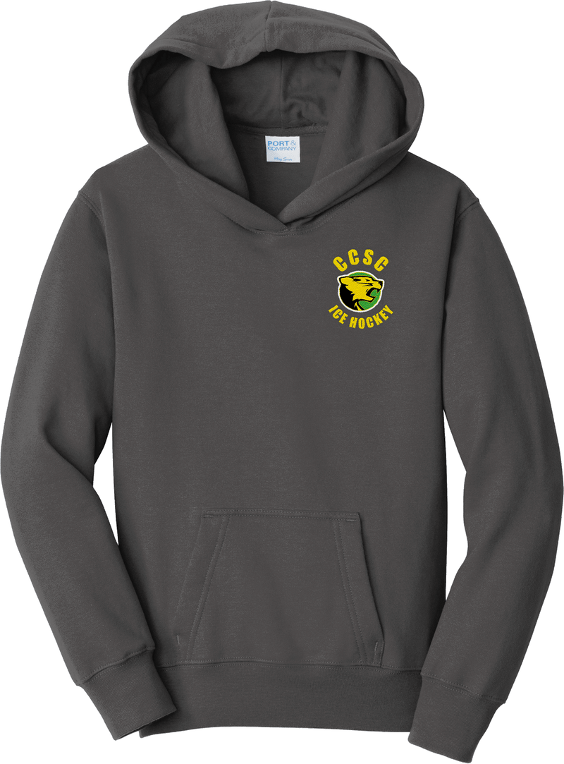 Chester County Youth Fan Favorite Fleece Pullover Hooded Sweatshirt